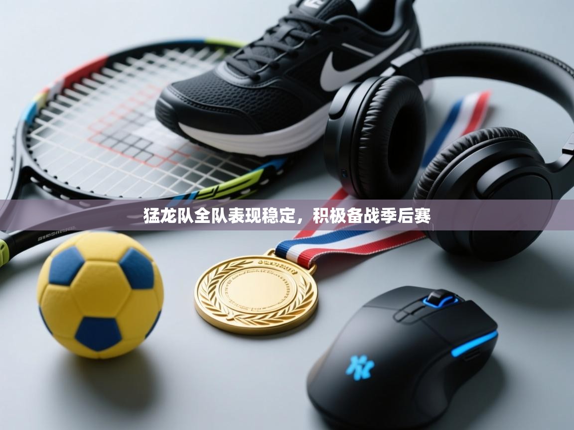 开云体育app官网入口网页版-猛龙队全队表现稳定，积极备战季后赛  第4张