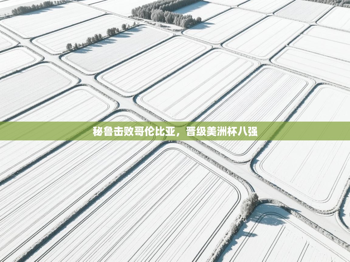 开云体育夜间模式开启-秘鲁击败哥伦比亚，晋级美洲杯八强  第1张