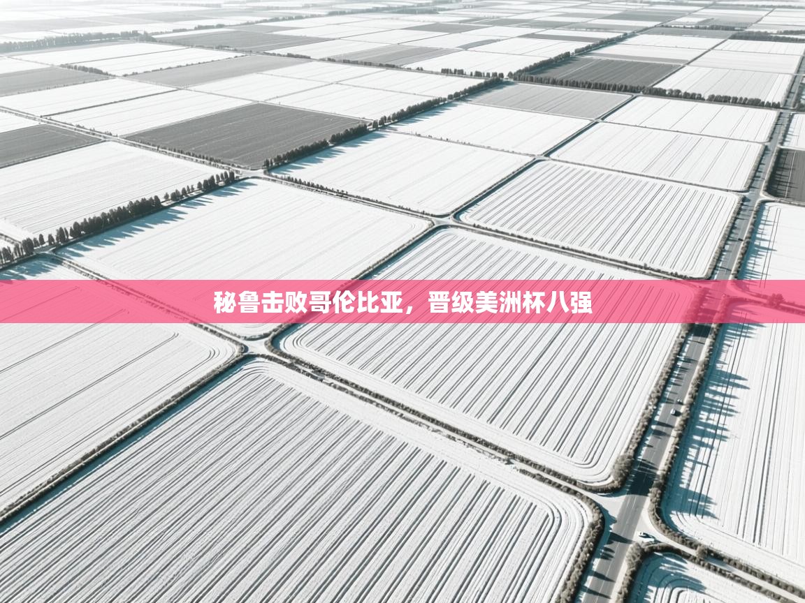 开云体育夜间模式开启-秘鲁击败哥伦比亚，晋级美洲杯八强  第2张