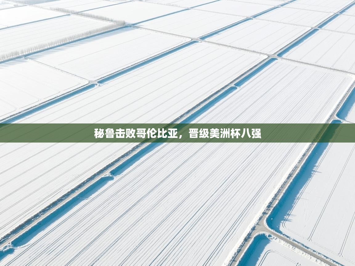 开云体育夜间模式开启-秘鲁击败哥伦比亚，晋级美洲杯八强  第3张