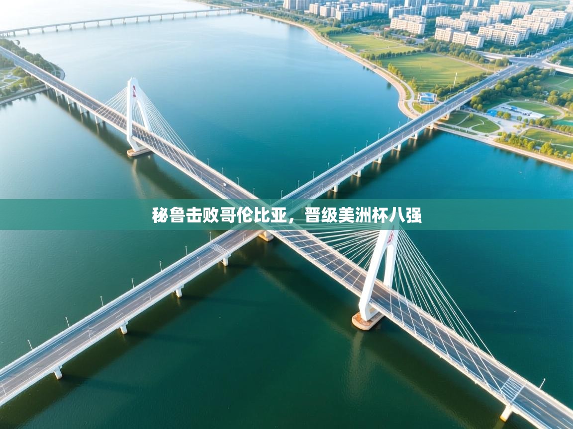 开云体育夜间模式开启-秘鲁击败哥伦比亚，晋级美洲杯八强  第4张