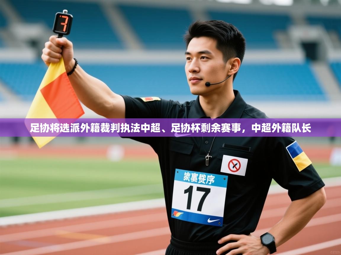 kaiyun体育入口-足协将选派外籍裁判执法中超、足协杯剩余赛事,中超外籍队长 第3张