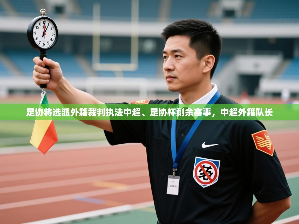 kaiyun体育入口-足协将选派外籍裁判执法中超、足协杯剩余赛事,中超外籍队长 第4张