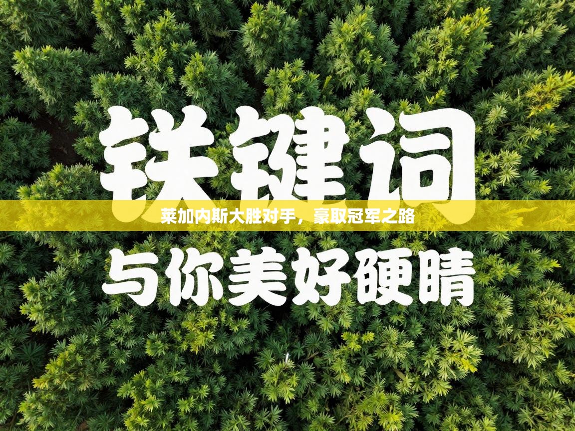 开云体育VIP权益说明-莱加内斯大胜对手，豪取冠军之路  第3张